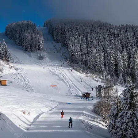 Dans Neuve Le Snow Roc Sur Les Pistes, Grand Cosy 5 Pers Avec Terrasse Panoramique, Sauna, Wifi *