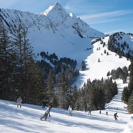 Apartment Dans Neuve Le Snow Roc Sur Les Pistes, Grand Cosy 5 Pers Avec Terrasse Panoramique, Sauna, Wifi Saint-Jean-dʼAulps